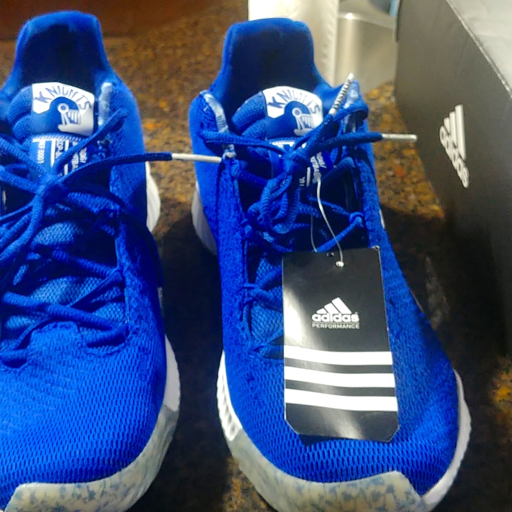 Adidas am pro bounce knights. Size 12.5